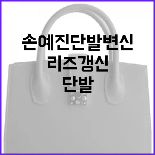 손예진 단발 변신으로 리즈 갱신하는 방법 - 요약