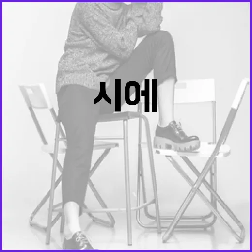 시에(SIE) 이해하는 방법과 활용법 - 요약