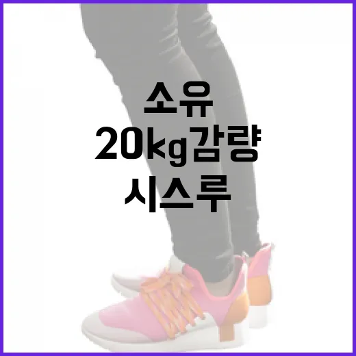 소유처럼 20kg 감량하여 시스루룩 입는 방법 - 요약