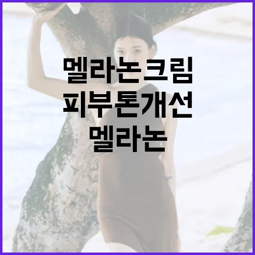 멜라논크림으로 피부 톤 개선하는 방법 - 요약