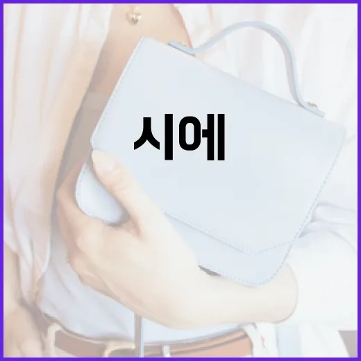 시에(SIE)를 이해하고 활용하는 방법 - 요약