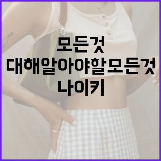 나이키 문슈에 대해 알아야 할 모든 것 - 요약