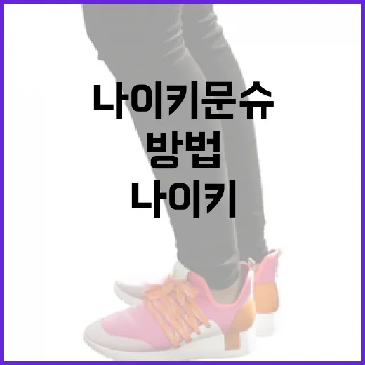 나이키 문슈에 대해 알아보는 방법 - 요약