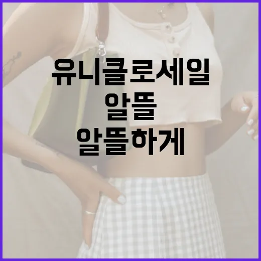 유니클로 세일을 알뜰하게 활용하는 방법 - 요약