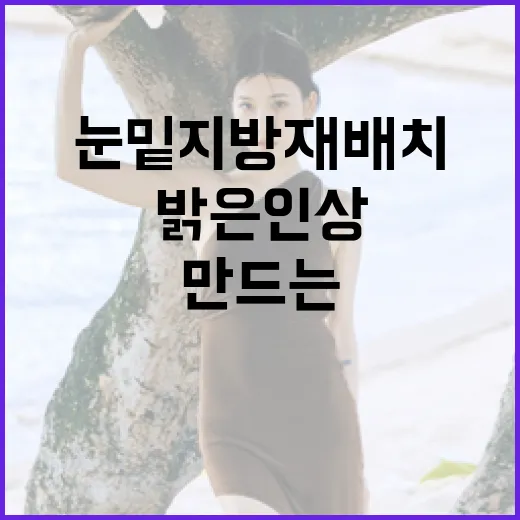 눈밑지방재배치로 밝은 인상을 만드는 방법 - 요약