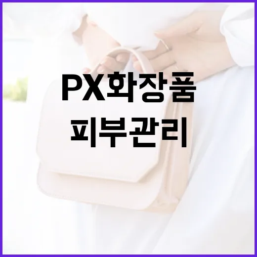 PX 화장품을 활용하여 피부 관리하는 방법 - 요약