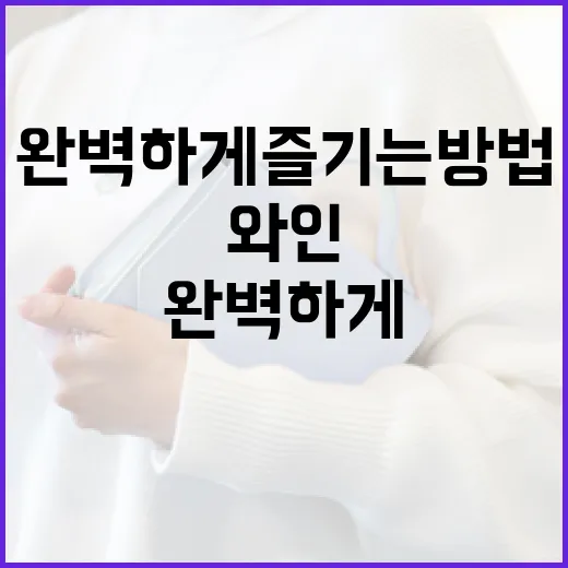 타낫 와인을 완벽하게 즐기는 방법 - 요약
