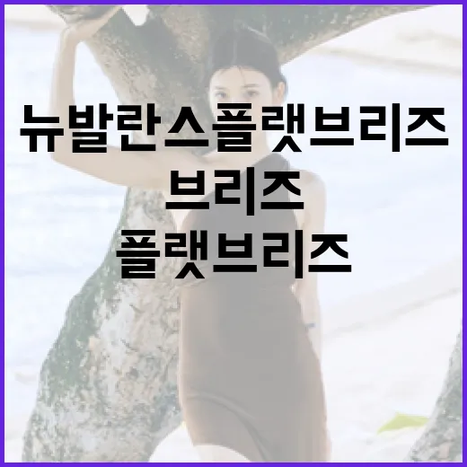 뉴발란스 플랫브리즈를 활용한 스타일링 방법 - 요약