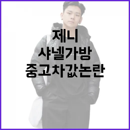 제니 샤넬 가방과 중고차 값 논란을 이해하는 방법 - 요약