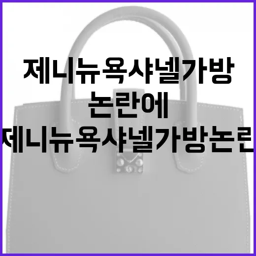 제니 뉴욕 샤넬 가방 논란에 대해 알아보는 방법 - 요약