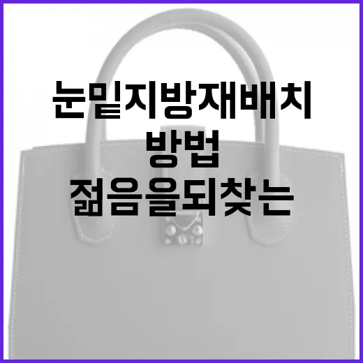 눈밑지방재배치로 젊음을 되찾는 방법 - 요약