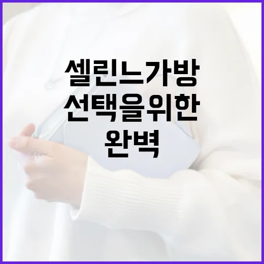 셀린느 가방 구매 가이드: 완벽한 선택을 위한 팁 - 요약