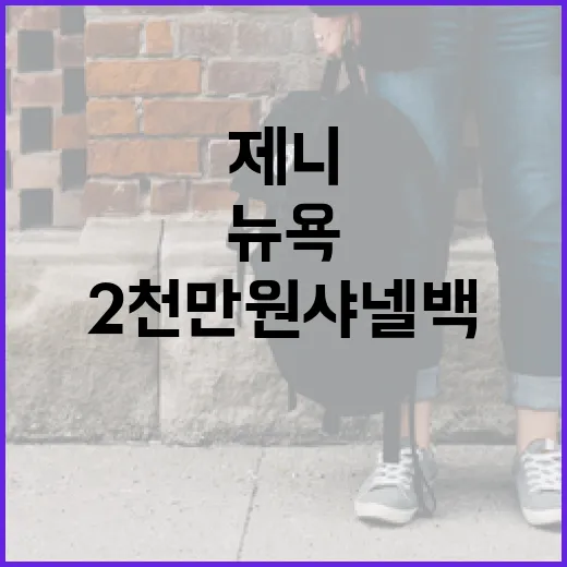 제니처럼 뉴욕에서 2천만원 샤넬백을 구매하는 방법 - 요약