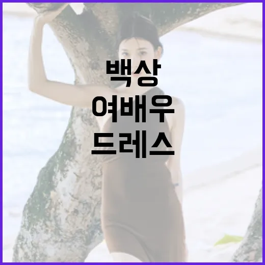 백상예술대상 워스트 여배우 드레스를 피하는 방법 - 요약