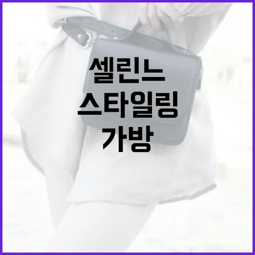 셀린느 가방을 선택하고 스타일링하는 방법 - 요약
