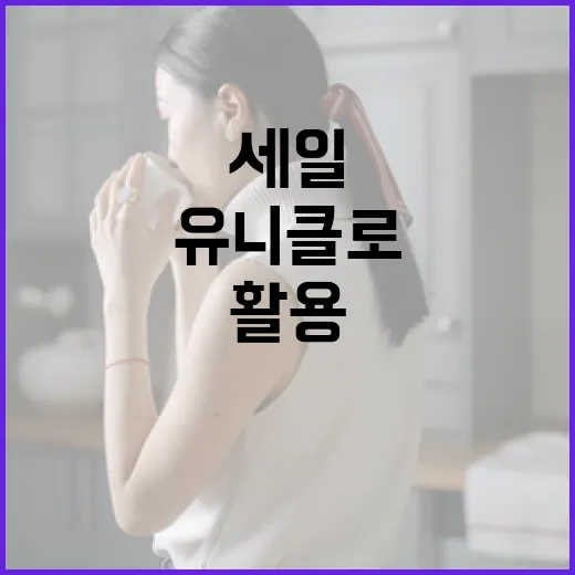 유니클로 세일을 최대한 활용하는 방법 - 요약