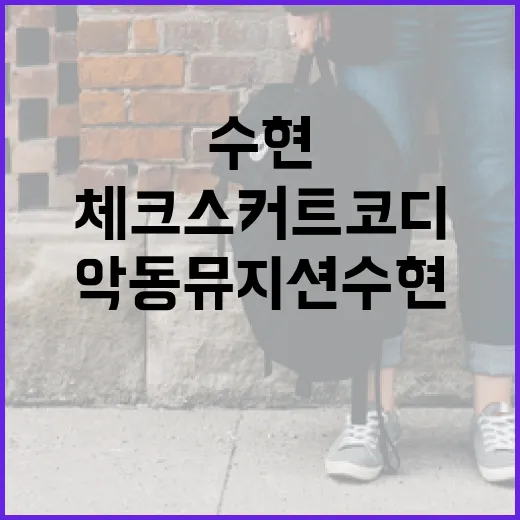 악동뮤지션 수현처럼 체크 스커트 코디하는 방법 - 요약