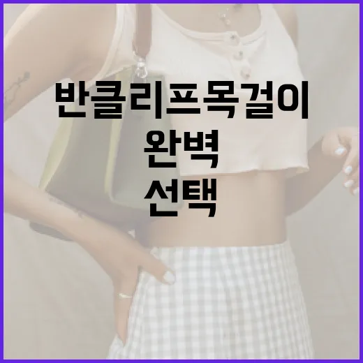 반클리프 목걸이를 완벽하게 선택하는 방법 - 요약
