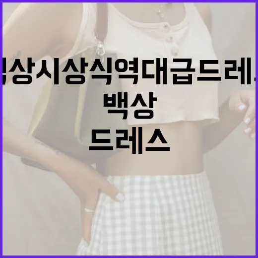 백상 시상식 역대급 드레스 살펴보는 방법 - 요약