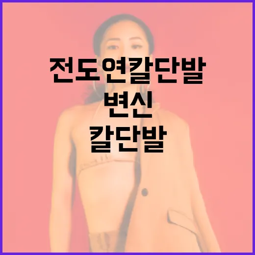 전도연 칼단발 스타일로 우아하고 시크하게 변신하는 방법 - 요약