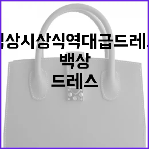 백상 시상식 역대급 드레스를 감상하는 방법 - 요약