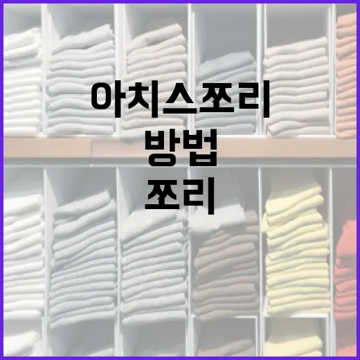 아치스 쪼리를 선택하고 활용하는 방법 - 요약