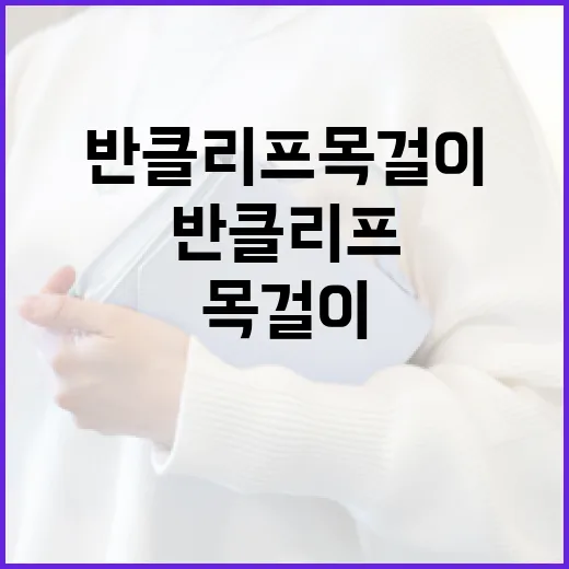 반클리프 목걸이를 선택하는 방법 - 요약