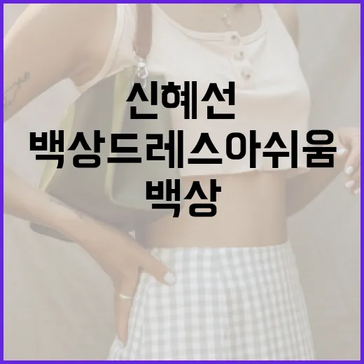 신혜선의 백상 드레스 아쉬움을 극복하는 방법 - 요약