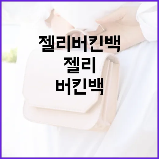 젤리 버킨백을 제대로 활용하는 방법 - 요약
