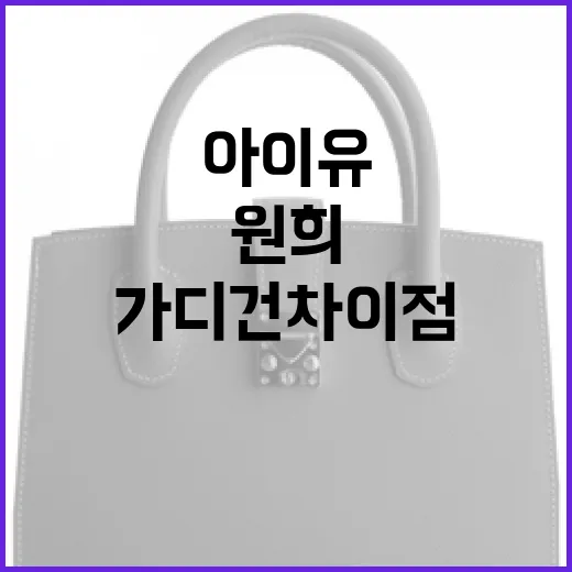아이유와 원희의 가디건 차이점을 알아보는 방법 - 요약
