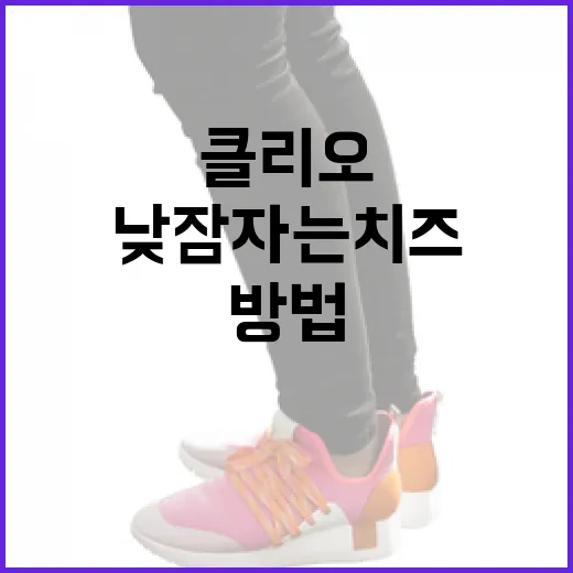 클리오와 함께 낮잠자는 치즈 만드는 방법 - 요약