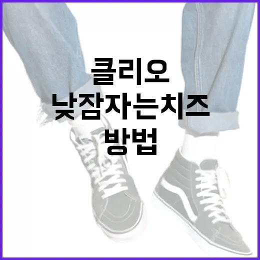 클리오와 함께 낮잠자는 치즈를 즐기는 방법 - 요약