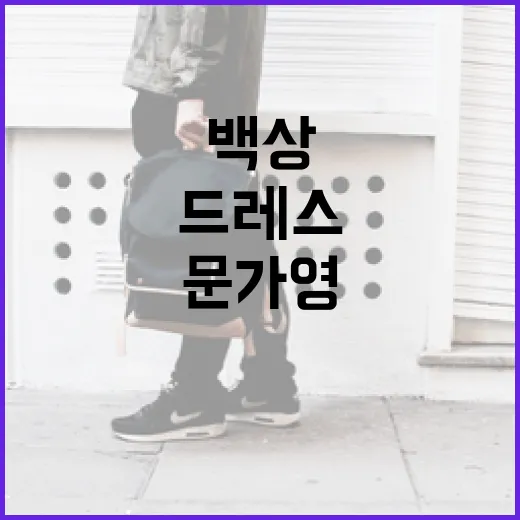 문가영의 백상 수상식 미친 드레스 스타일링 방법 - 요약