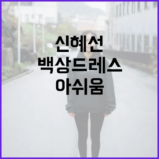 신혜선의 백상 드레스 선택에서 아쉬움을 줄이는 방법 - 요약
