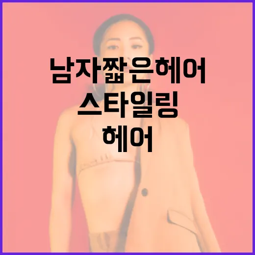 남자 짧은 헤어 스타일링 방법 - 요약