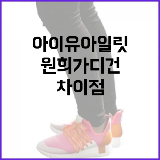 아이유 아일릿과 원희 가디건의 차이점을 알아보자 - 요약