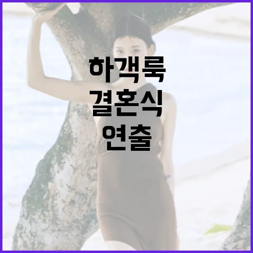 결혼식 하객룩을 멋지게 연출하는 방법 - 요약