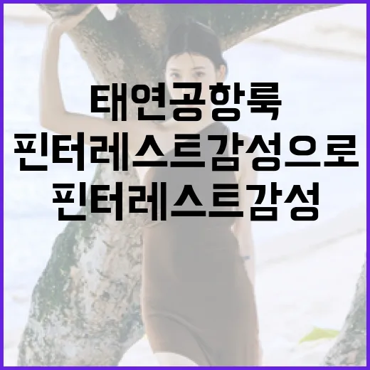 태연 공항룩을 핀터레스트 감성으로 스타일링하는 방법 - 요약
