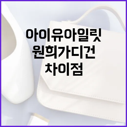 아이유 아일릿과 원희 가디건의 차이점 파악하기 - 요약