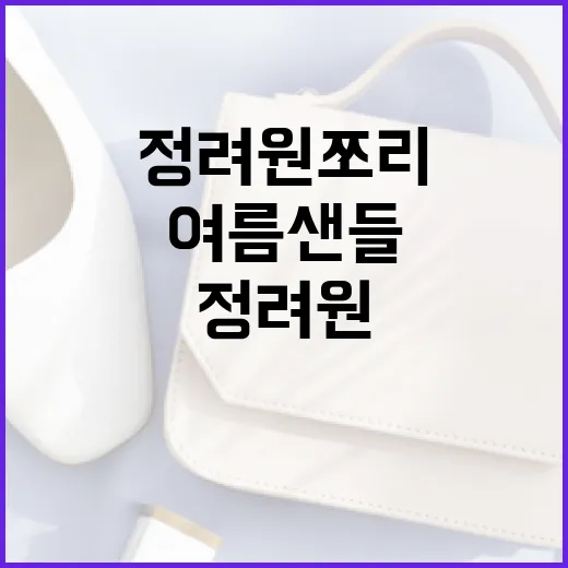 여름 샌들, 정려원 쪼리로 스타일링하는 방법 - 요약