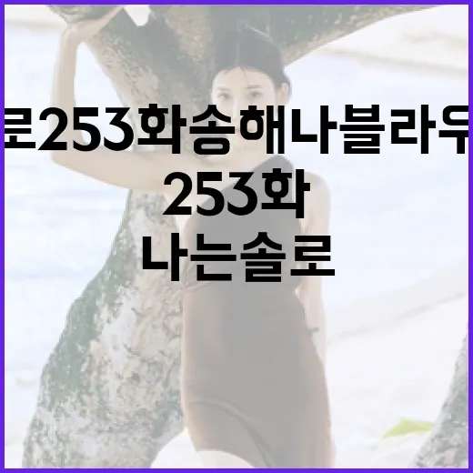 나는솔로 253화 송해나 블라우스 패션을 완벽하게 스타일링하는 방법 - 요약