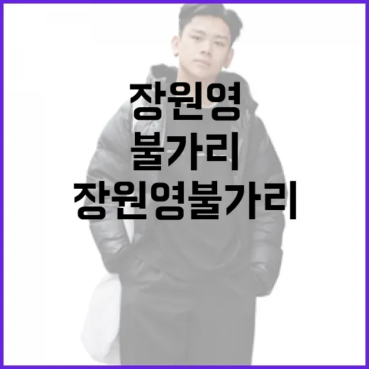 장원영 불가리 스타일을 완벽히 소화하는 방법 - 요약