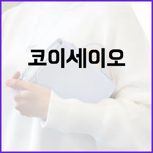 코이세이오를 효과적으로 사용하는 방법 - 요약