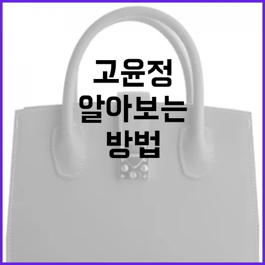 고윤정이란 누구인가? 그녀에 대해 알아보는 방법 - 요약