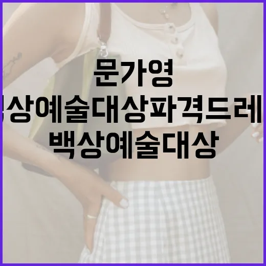 문가영의 백상예술대상 파격 드레스 스타일링 비법 - 요약