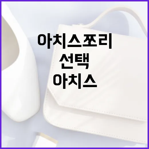 아치스 쪼리를 선택하고 사용하는 방법 - 요약