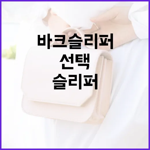 바크 슬리퍼를 선택하고 관리하는 방법 - 요약