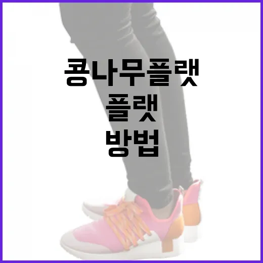 콩나무 플랫을 관리하고 성장시키는 방법 - 요약