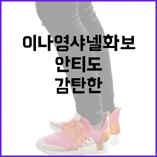 이나영 샤넬 화보가 안티도 감탄한 이유 - 요약
