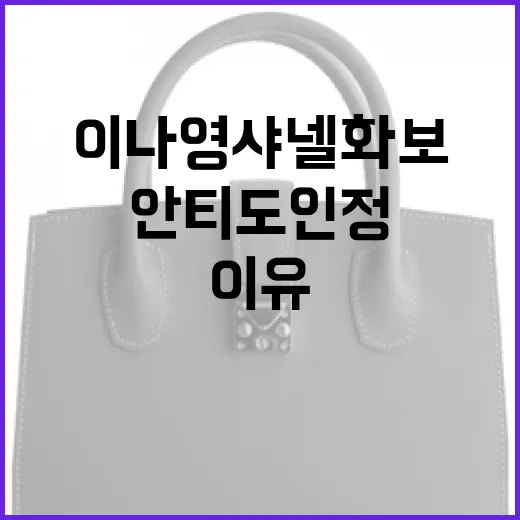 이나영 샤넬 화보가 주목받는 이유와 안티도 인정할 수밖에 없는 이유 - 요약